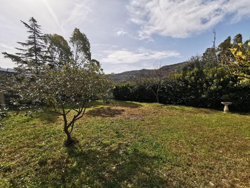 Bed & Breakfast Villa Flora Eredita Exterior photo